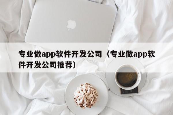 專業(yè)做app軟件開(kāi)發(fā)公司（專業(yè)做app軟件開(kāi)發(fā)公司推薦）