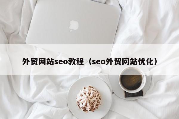 外貿網(wǎng)站seo教程（seo外貿網(wǎng)站優(yōu)化）